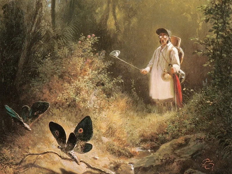 1808-Carl Spitzweg - cacciatore di farfalle - Museum Wiesbaden